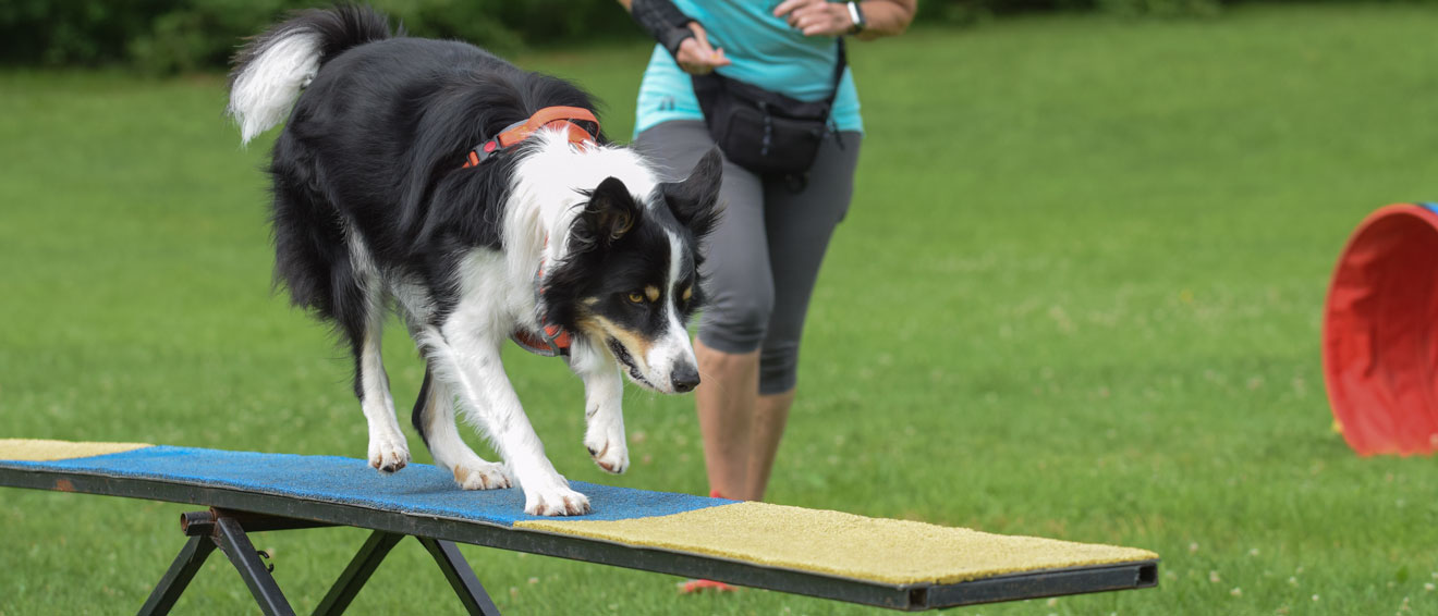 Advanced Agility