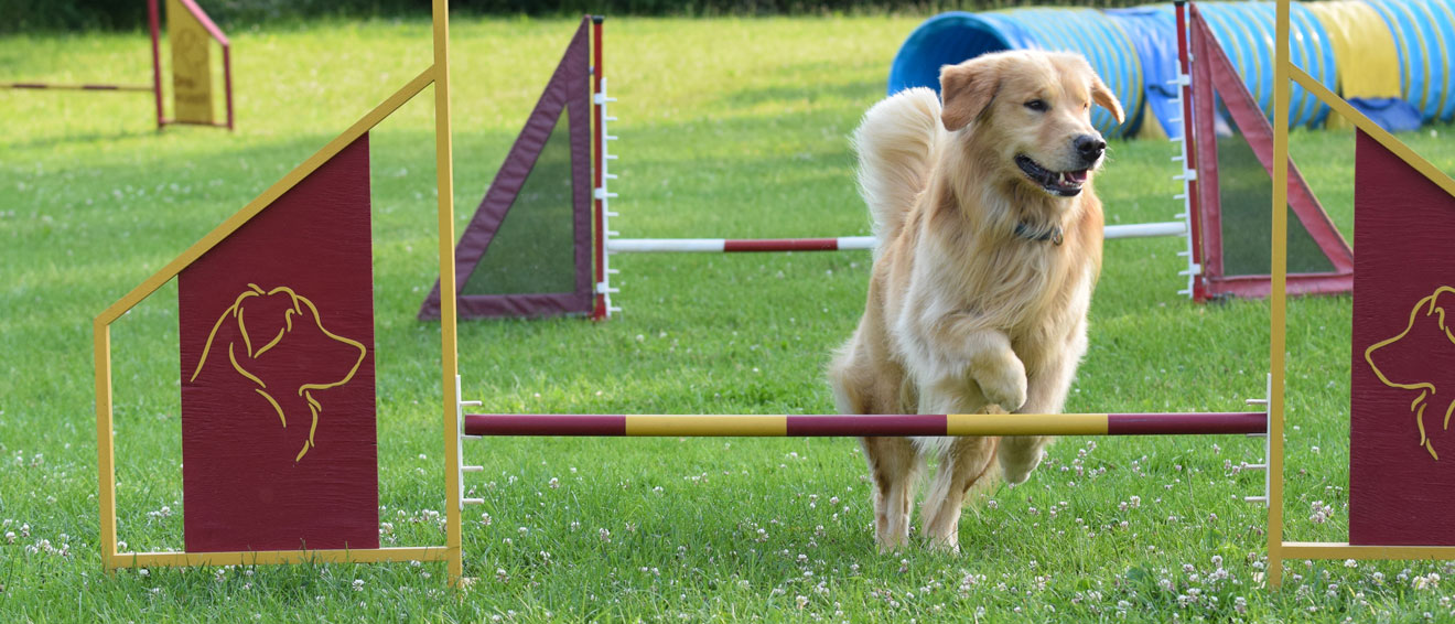 Intro Agility Level 1